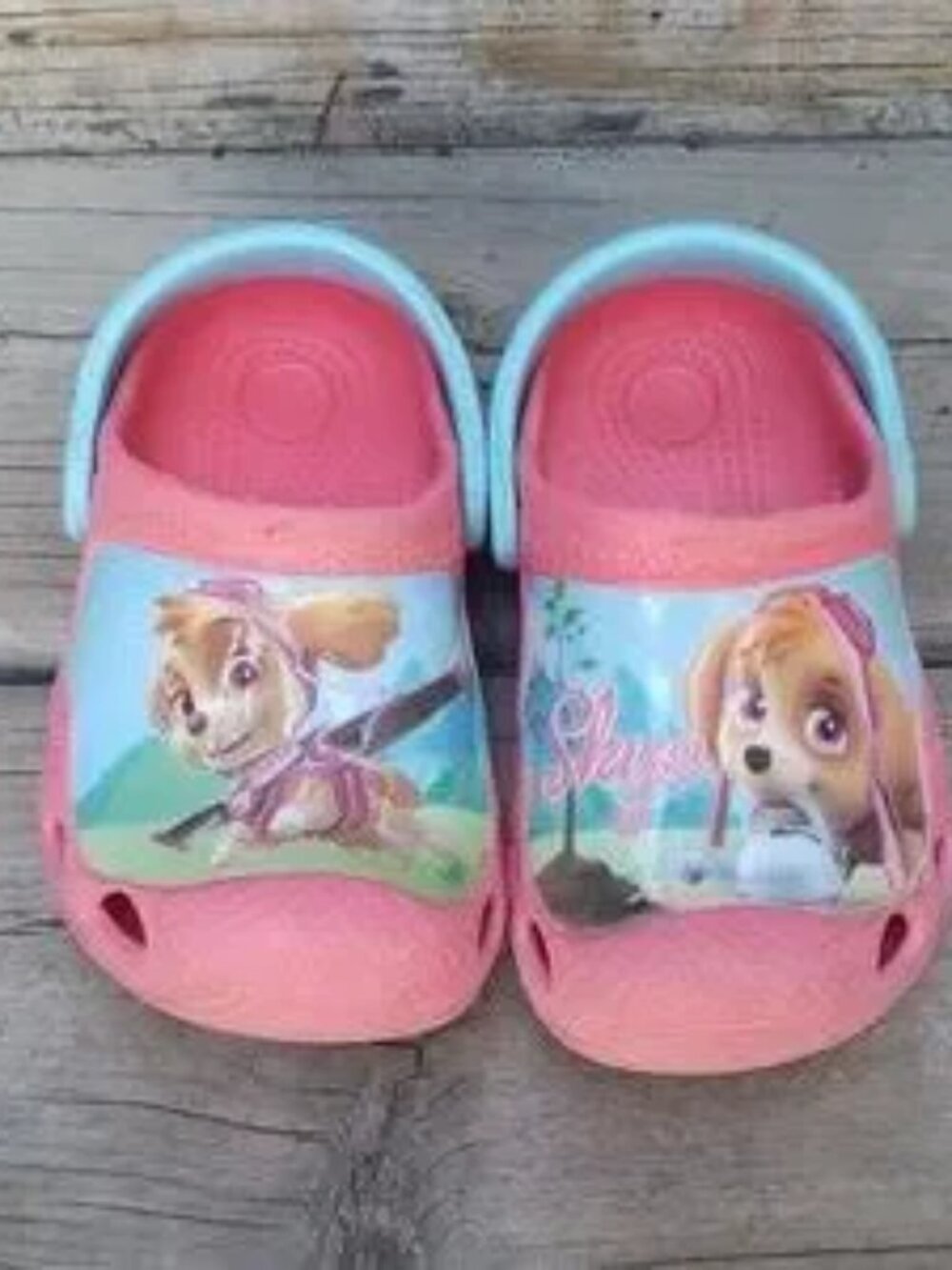 Paw Patrol Summer Shoes